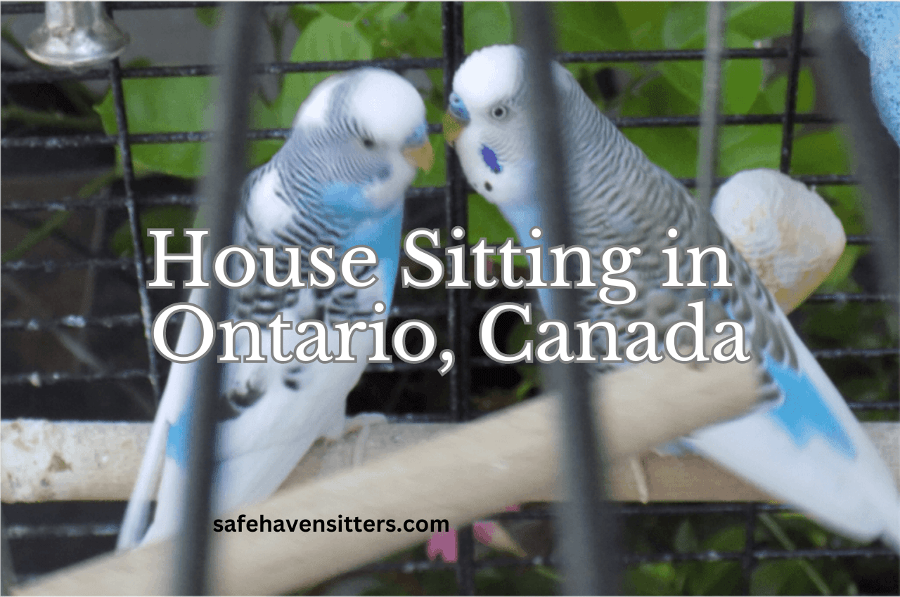 Why We Found House Sitting in Caledon Ontario Interesting