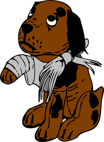 hurt dog, bandages