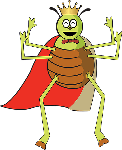 fleas and ticks, safeguard your home
