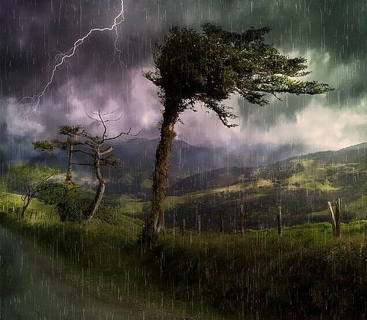Photo by: https://pixabay.com/users/pezibear-526143/?utm_source=link-attribution&utm_medium=referral&utm_campaign=image&utm_content=695137 thunderstorms, walking pets