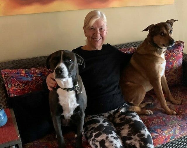 Professional Pet Sitters, two dogs