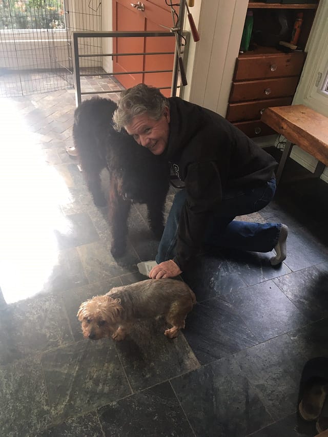 man playing with 2 dogs