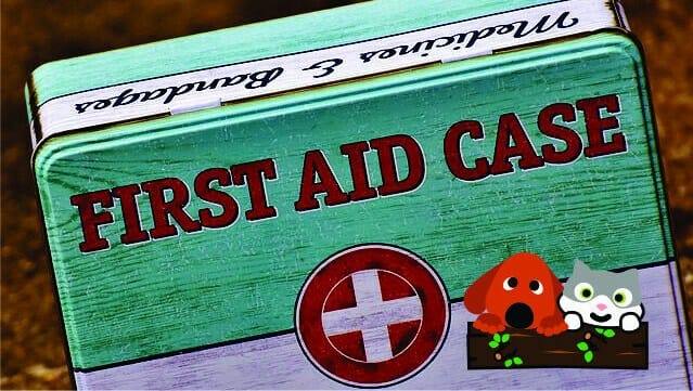 First aid, pet injuries