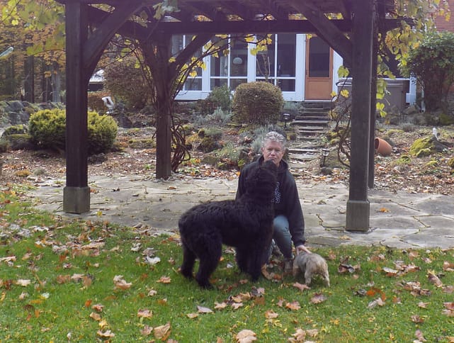 a man kneeling beside a bouvier and a yorkie, house sitter