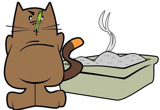 keep cat litter box clean, odour, litter box