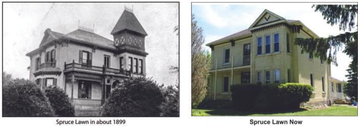 Spruce Lawn 1899 and 2017, visits between house sits