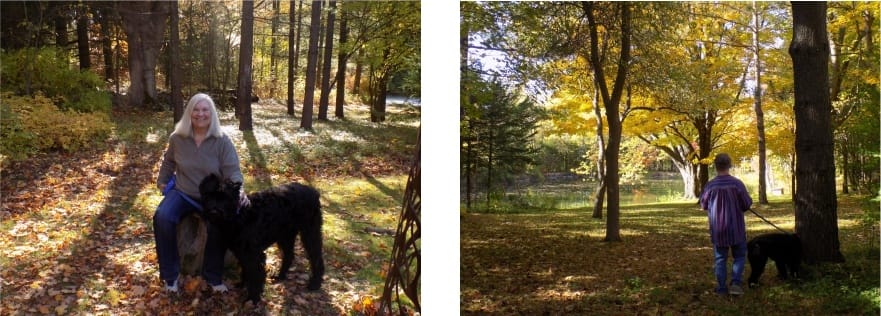a woman, a man and a bouvier dog, house sitting